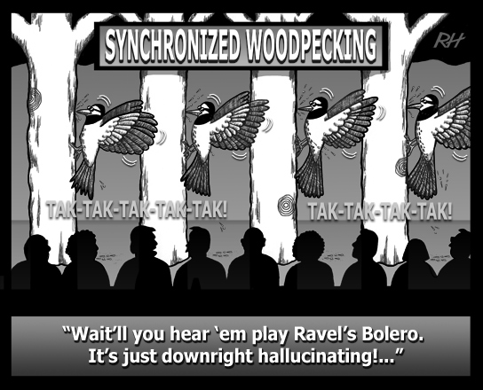 Synchronized Woodpecking